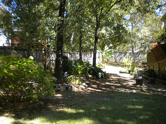 Back yard