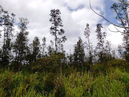 4th image of Ohia Dr