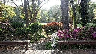 Backyard, facing #2 Robbers Row Green