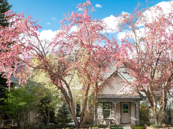 1006 E Cooper Ave, Aspen, CO 81611