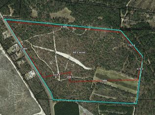 10AC St Paul Church Rd, Snelling, SC 29812