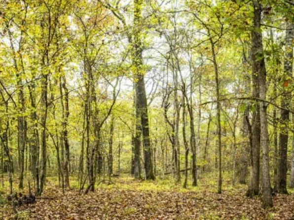 0 Kanis Rd #13500, Little Rock, AR 72211