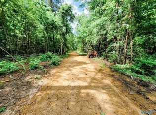 Perry Ave, Somerville, AL 35670