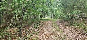 4th image of Tract 2 Farm Road 1190