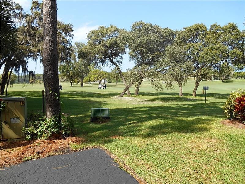 3206 Green Dolphin St, Tarpon Springs, FL 34689 Zillow