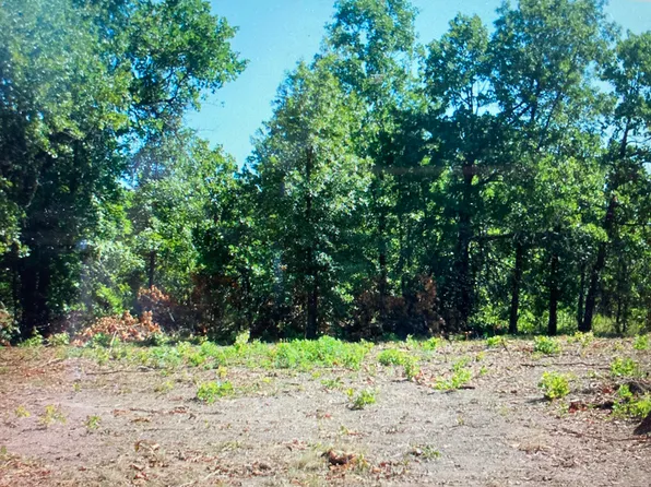 00 Strawberry Lane, Tunas, MO 65764