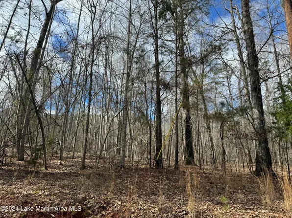 Herren Camp Rd, Dadeville, AL 36853