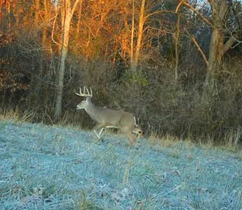 1st image of 0 Rosebud Byp