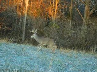 0 Rosebud Byp, Golconda, IL 62938