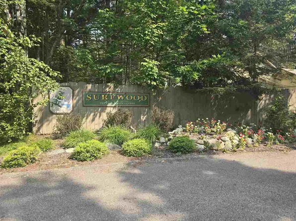 8745 Voyager Trl, Harbor Springs, MI 49740