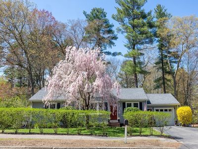 1071 Washington St, Walpole, MA, 02081
