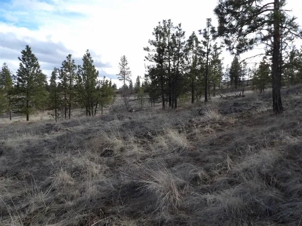 39783 Lane Ln N, Davenport, WA 99122