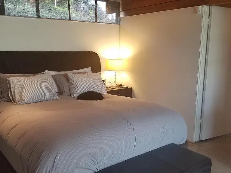 Bright and airy primary bedroom featuring abundant natural light and ample closet space.