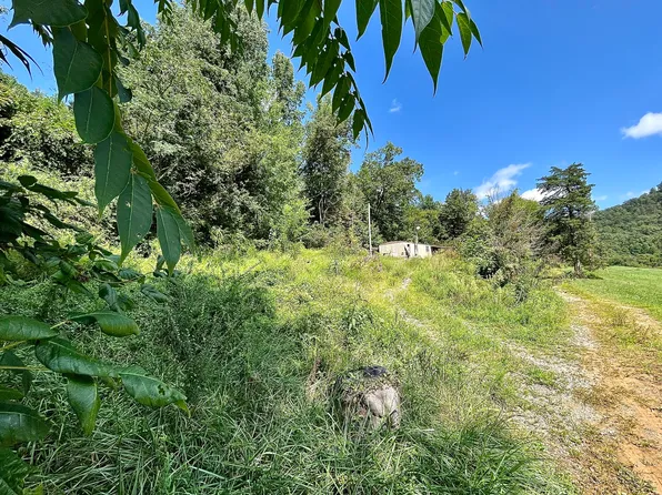 TRACT Two E 25/70, Del Rio, TN 37727