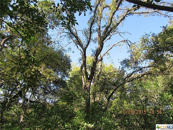 2nd image of 11 Gruene Wald