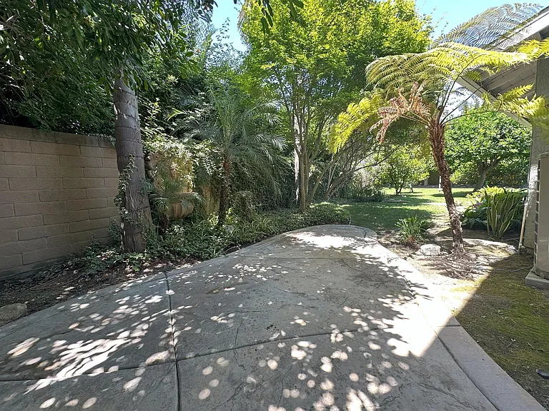 Sideyard (off living room)