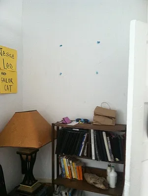 Rented by Rapid Realty Brooklyn Heights | media 60