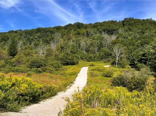 6048 Nys Rte #242-E, Ellicottville, NY 14731