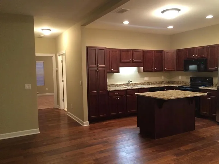 4726 Compassion Ln — Photo 10