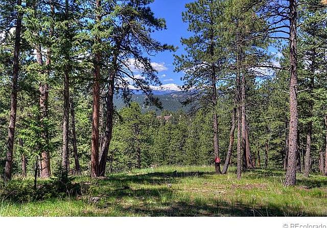 	4525 Songbird Lane -4958449