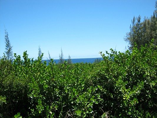 3rd image of Paradise Ala Kai Dr