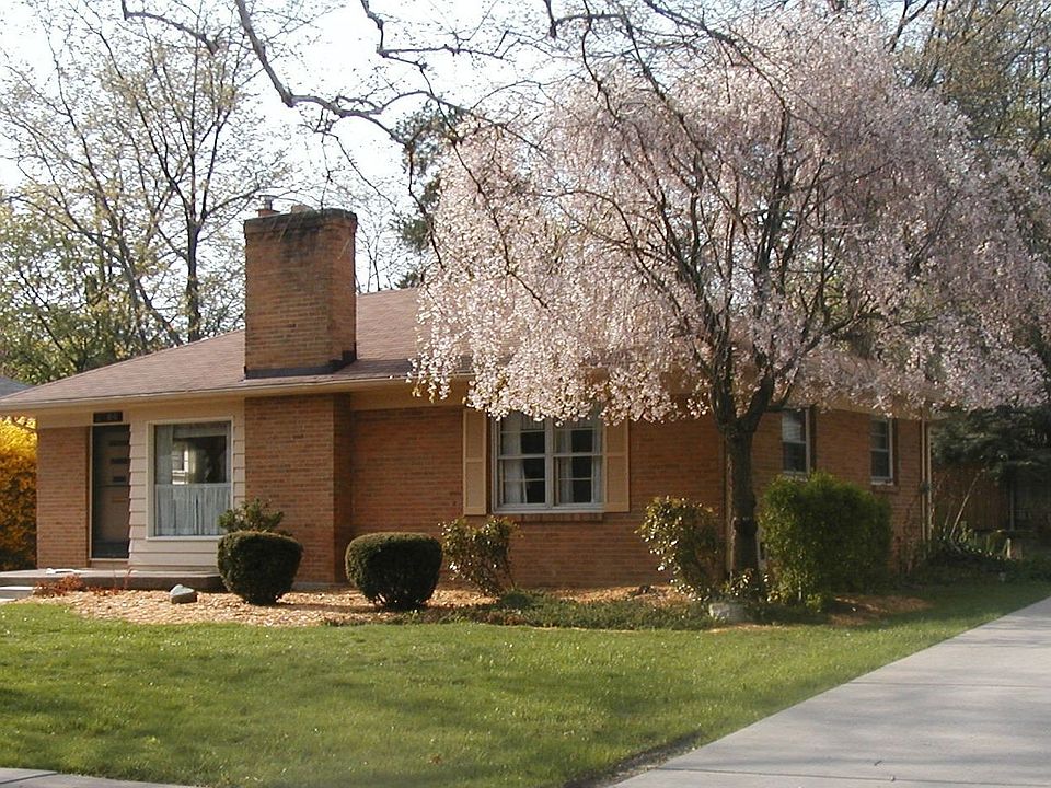 Front View