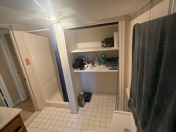 Shower and shelves