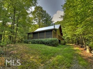 1186 Hidden Lake Dr, Cherry Log, GA 30522