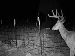 2190 County Road 650, Rocksprings, TX 78880