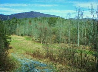 646 Burgess Rd, Mill Spring, NC 28756