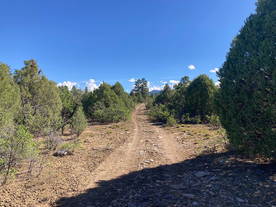 1st image of 1 Ponderosa