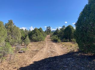 1 Ponderosa, Chama, NM 87520