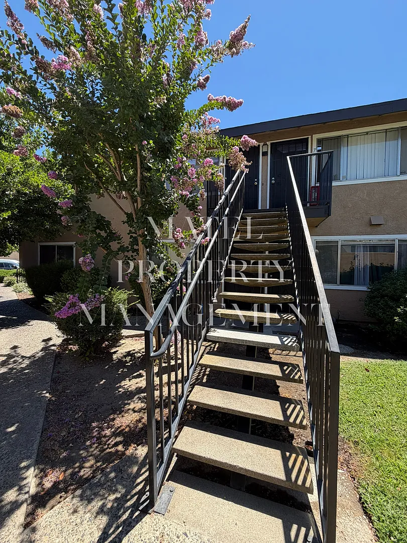 STAN325 — Photo 1
