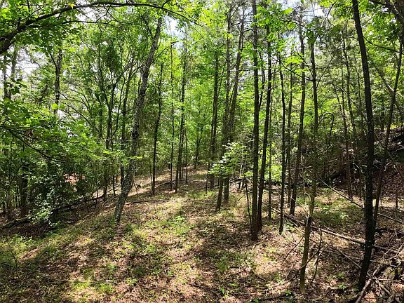 5th image of 150 Long Gum Ln