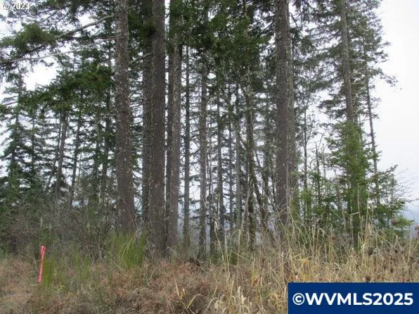 0 SW Rock Creek Rd, Sheridan, OR 97378