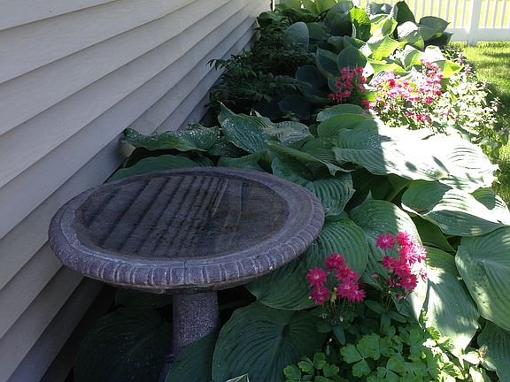 Garden behind garage