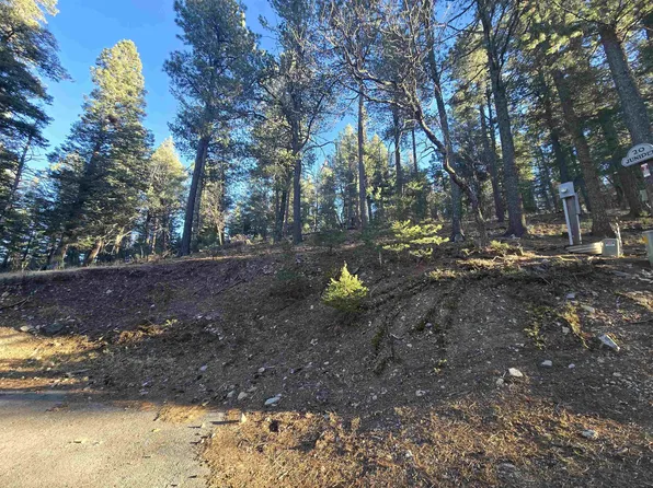 Juniper Ln, Mayhill, NM 88339
