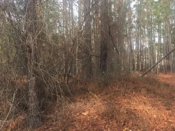 835 Greenbriar Dr, Vass, NC 28394