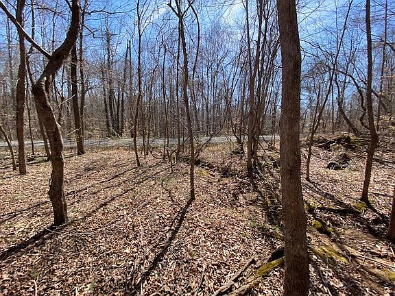 5th image of 0 Branch Rd