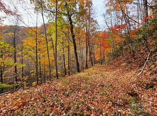355 Moonshine Holler Dr, Maggie Valley, NC 28751