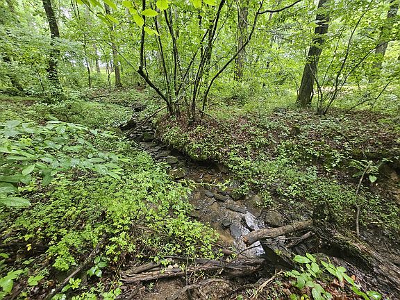 3rd image of 2411 State Route 56 Rd Lot 4