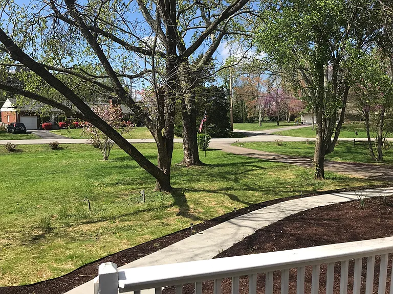 Front yard