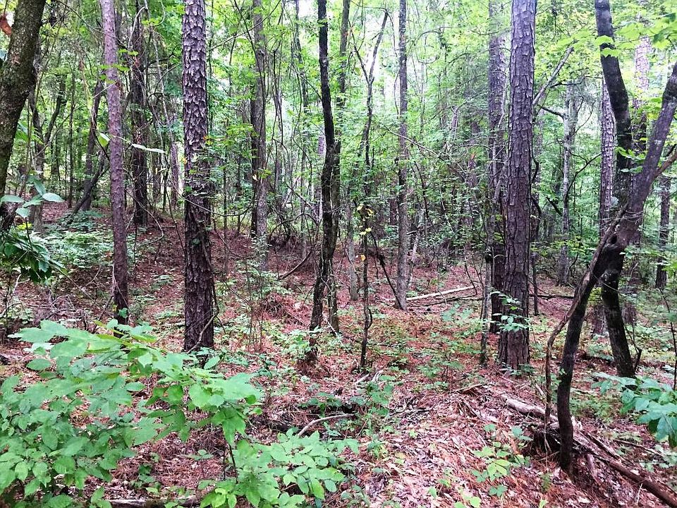1st image of 89 Chinquapin Pass