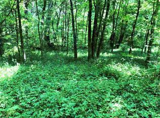 1856 Luther Memorial Rd, Parrottsville, TN 37843