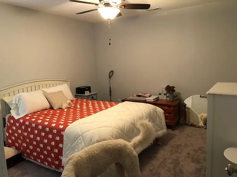 506 Whitehat Rd — Photo 3
