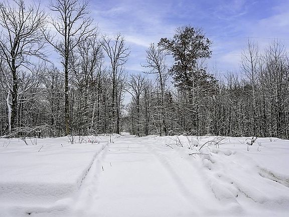 3rd image of LOT 6 Pierce Homestead Rd