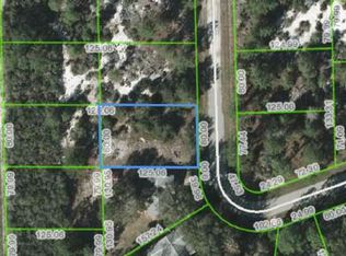 121 Flo Ave NW, Lake Placid, FL 33852
