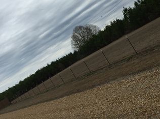 708 Emanuel St, Hickory, MS 39332