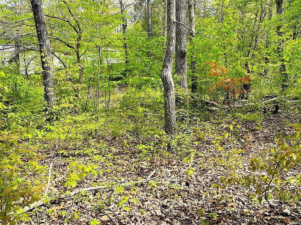 2nd image of 109 Avon Ln