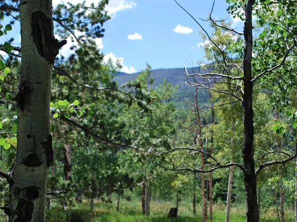 Panadero Loop Lot 90, La Veta, CO 81055